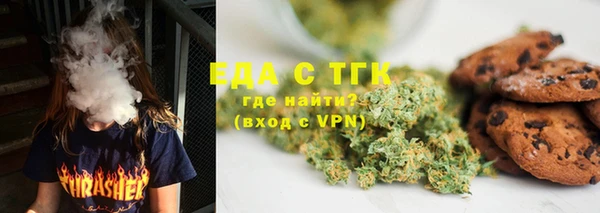 индика Аркадак