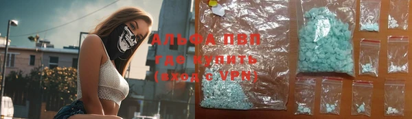 индика Аркадак