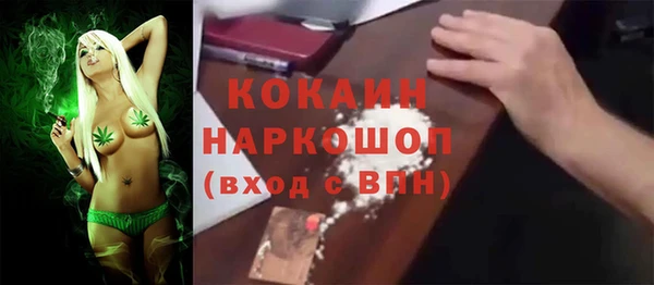 индика Аркадак
