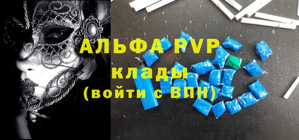 индика Аркадак