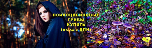 индика Аркадак